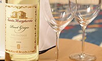White and Blush Wines/Non-Alcoholic
White and Blush Wines/Non-Alcoholic