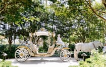 A Cinderella style horse drawn carriage and a coachmen parked on a path with trees