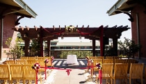 Rows of wooden chairs flank a petal covered aisle leading up to a pergola decorated with flowers and a floor length fabric swag