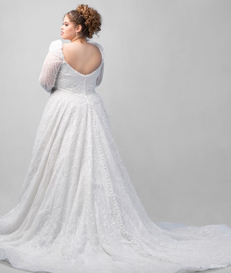 The back of a bride wearing a Cinderella inspired A line gown featuring beading, a train and long, sheer sleeves