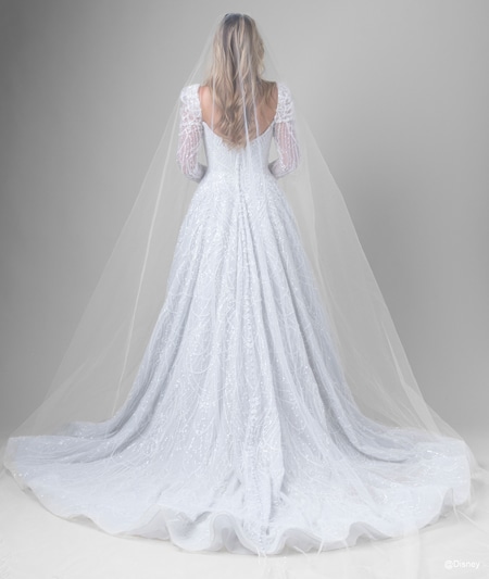 The back of a bride wearing a Cinderella inspired A line gown featuring beading, a train, a veil and long, sheer sleeves The back of a bride wearing a Cinderella inspired A line gown featuring beading, a train, a veil and long, sheer sleeves