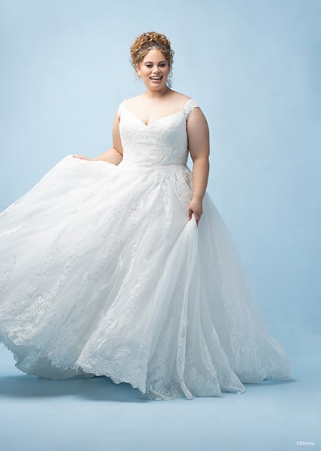 The front of a bride wearing a Cinderella inspired ball gown featuring a V neckline and lace detail