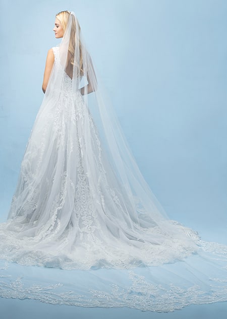 The back of a bride wearing a Cinderella inspired A line gown with lace detail, a train and a long veil