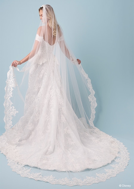 The back of a bride wearing a veil and a Cinderella inspired A line gown featuring off the shoulder sleeves and short panniers on the hips