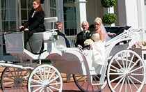 Horse-Drawn