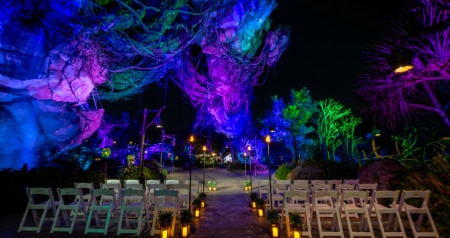 An outdoor ceremony setup with wooden benches, floral arrangements and lush surroundings in an Avatar themed environment