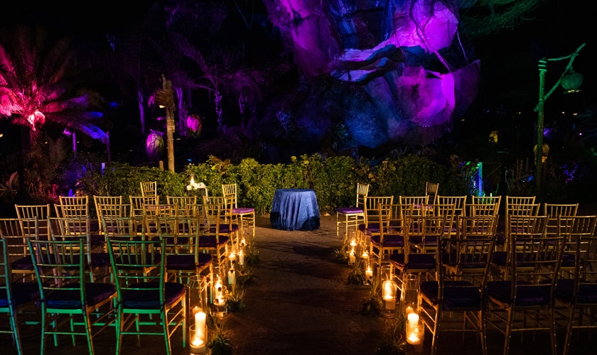 Pandora World of Avatar  Florida Weddings  Disneys Fairy Tale Weddings