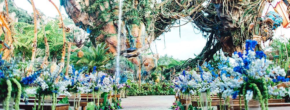 A space arranged for a wedding ceremony in front of a waterfall coming from a floating mountain in Pandora The World of Avatar
