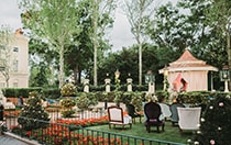 Armchairs on a lawn in front of a hege and canopy decorated for a ceremony

