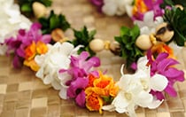 Lei