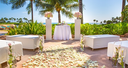 An outdoor ceremony setup with benches, a flower petal aisle and a table under palm trees overlooking the ocean