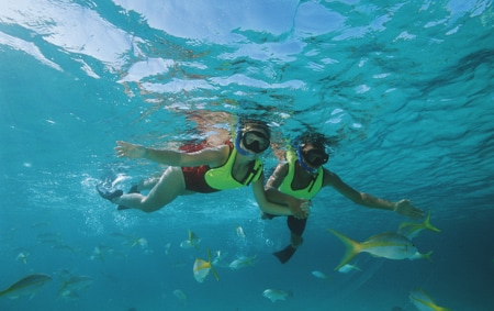 A couple on a snorkeling excursion in the Caribbean Sea surrounded by fish while honeymooning on the Disney Cruise Line