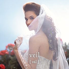 Veil Veil