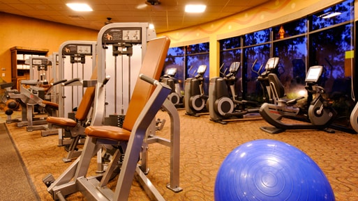 Gym equipment in a fitness center