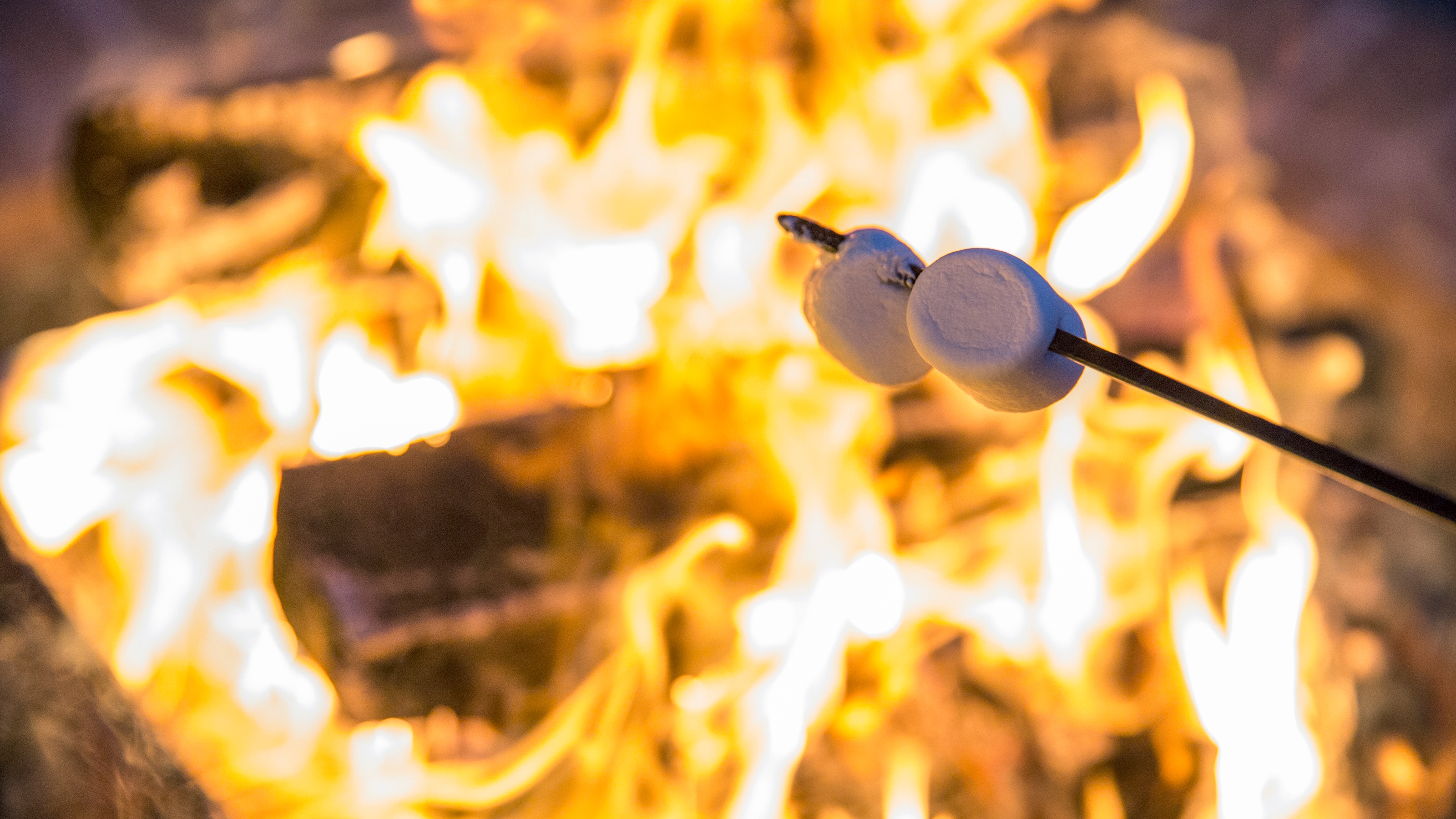 Two marshmallows on a stick roasting over a campfire
