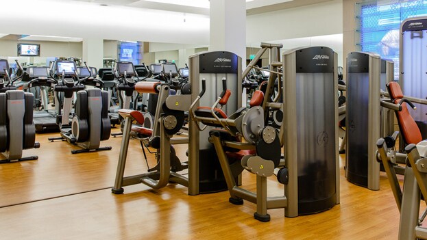 Workout equipment in a fitness center