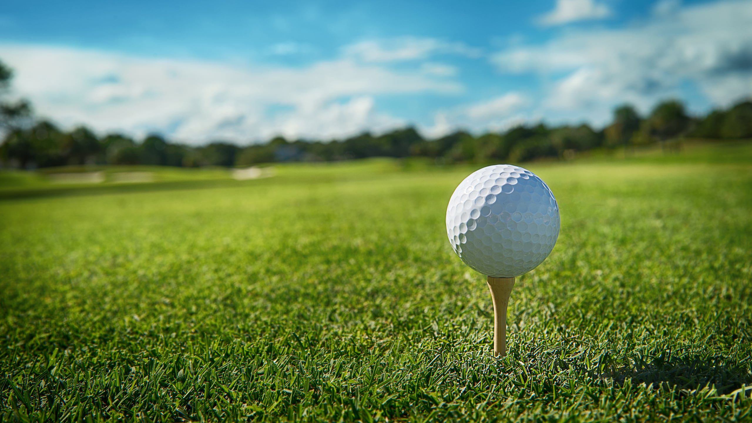 A golf ball atop a tee on a golf course