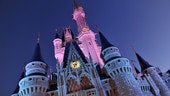 Cinderella Castle at Magic Kingdom park, illuminated at night