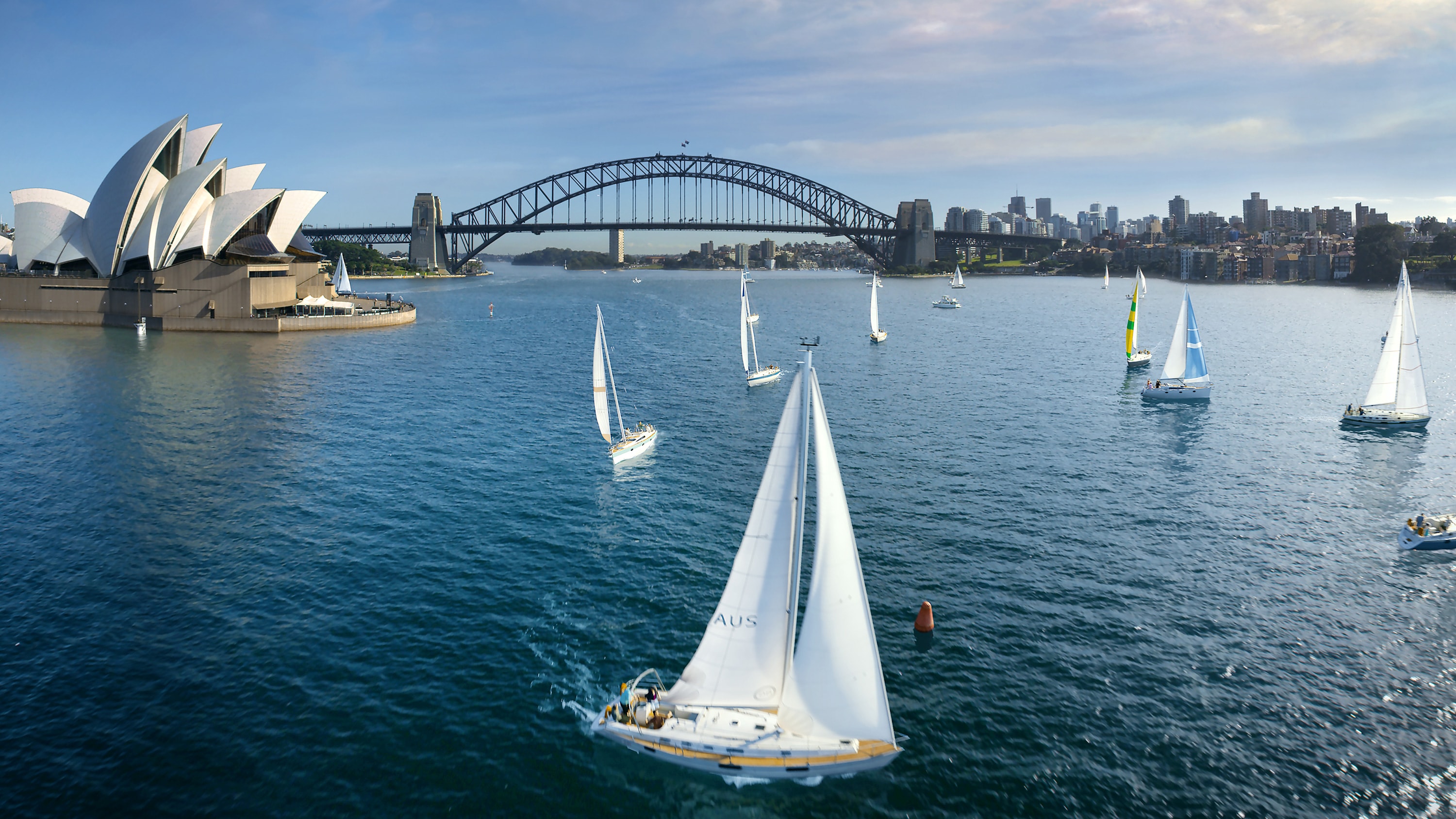 Sailboats in Sydney Harbour in Australia