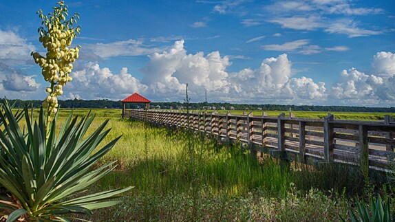 Buildings at Disney's Hilton Head Island Resort, overlooking a walkway and grassy marsh