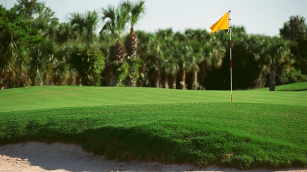 A golf flag on a golf course