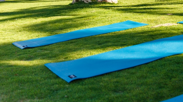 Yoga mats on a lush, grassy lawn