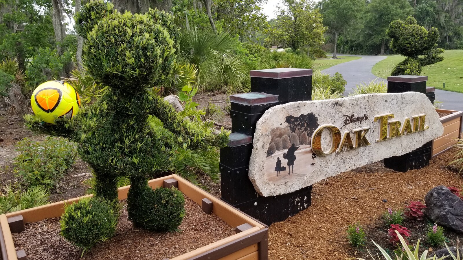 A Mickey Mouse shaped bush beside a sign that reads 'Disney's Oak Trail'