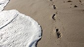 Footprints in the sand by the water's edge