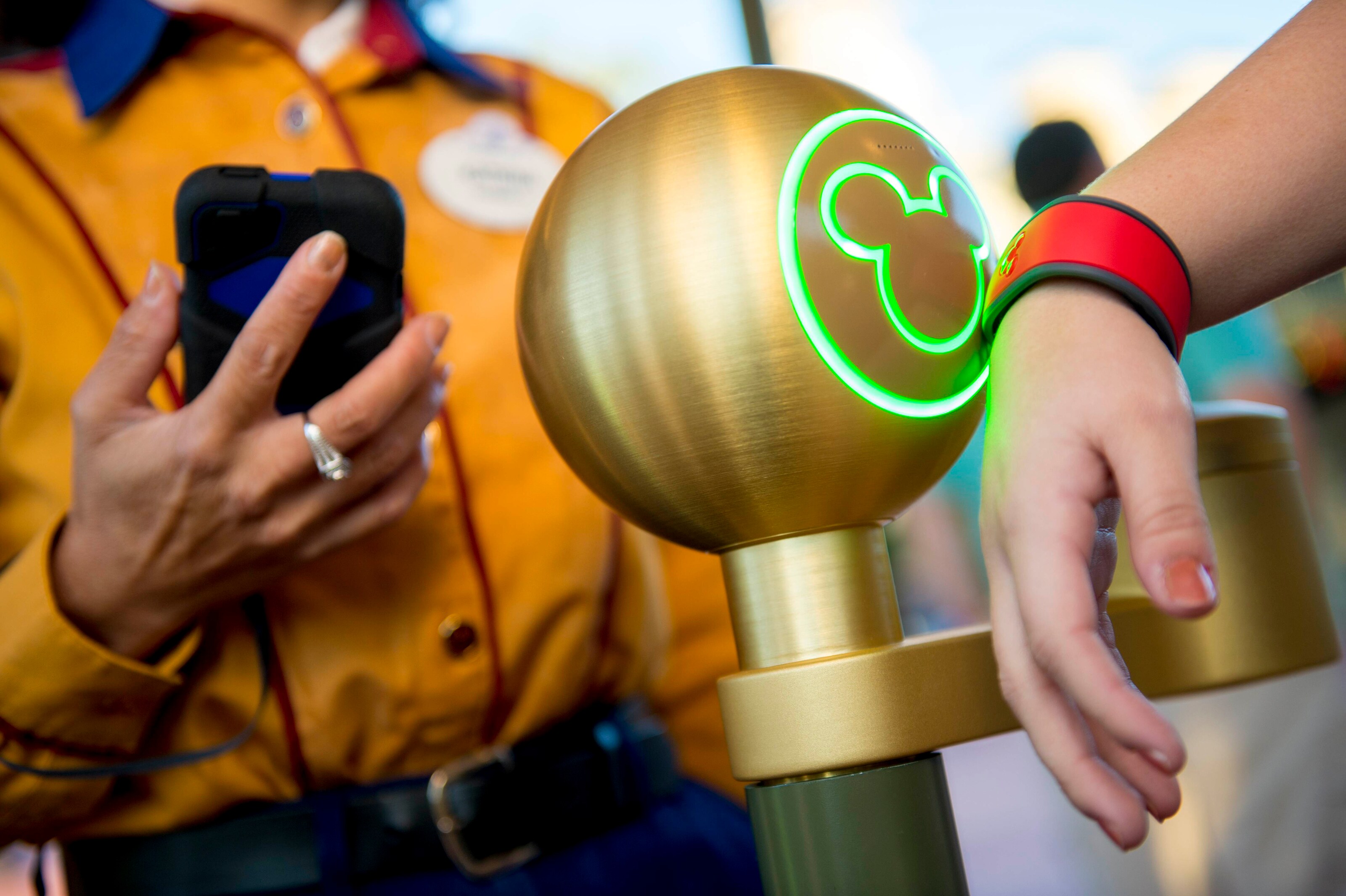 Magic Bands Magic Bands